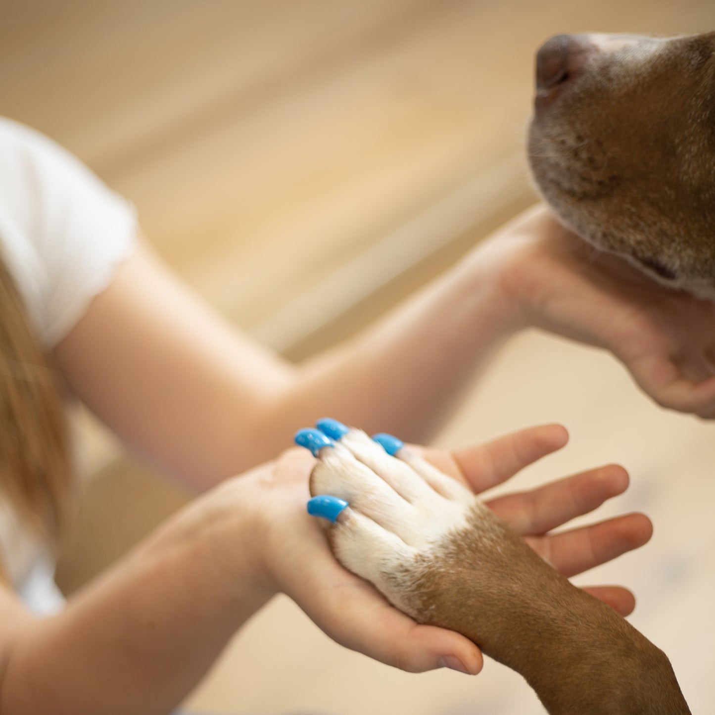 Soft Claws Nail Caps for Dogs