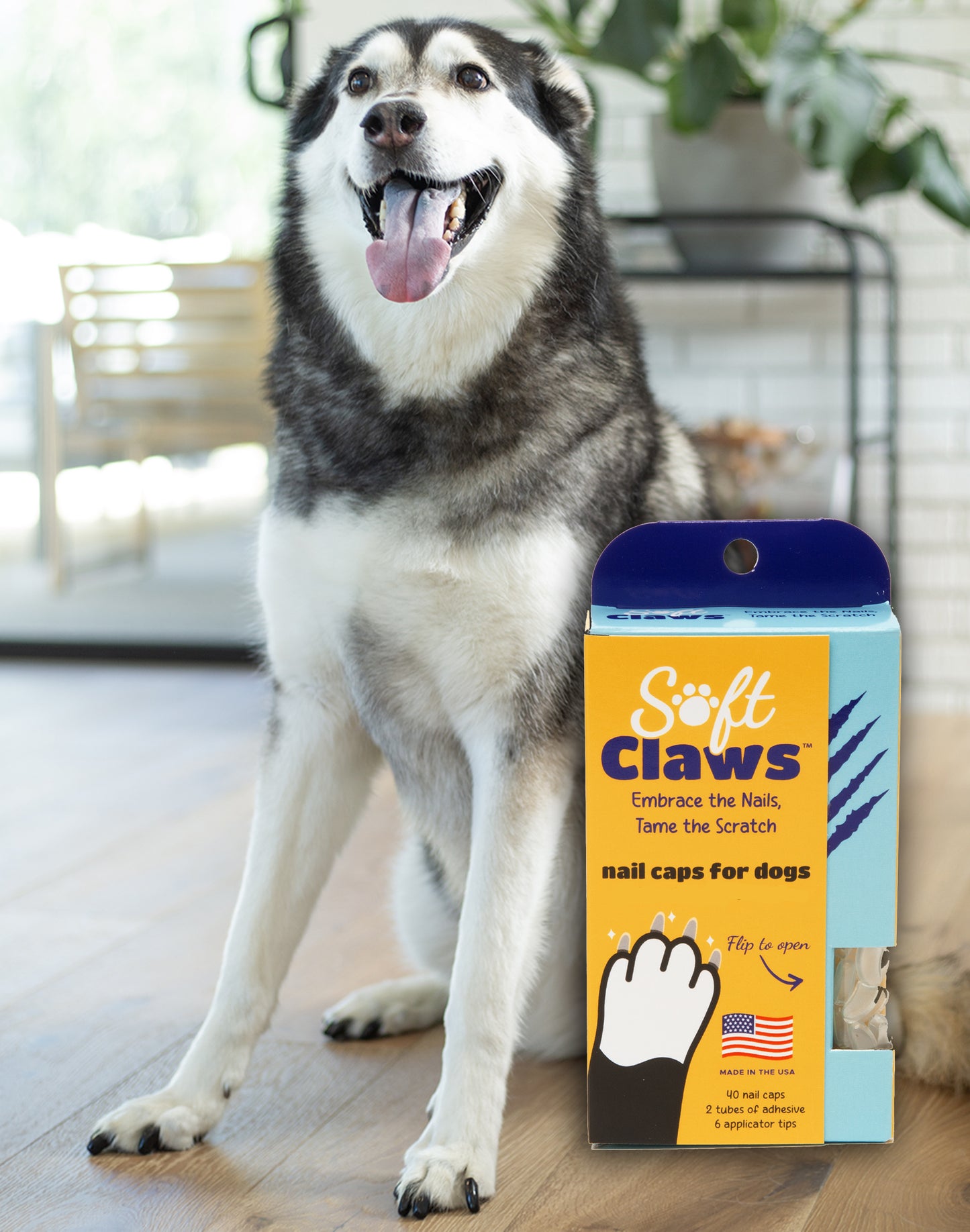 Soft Claws Nail Caps for Dogs