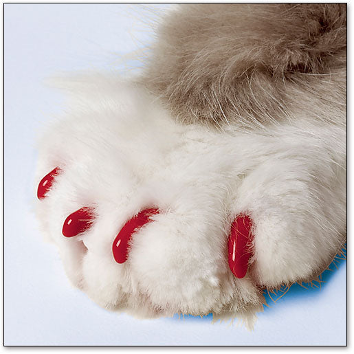 Soft Claws Nail Caps for Cats (Medium)