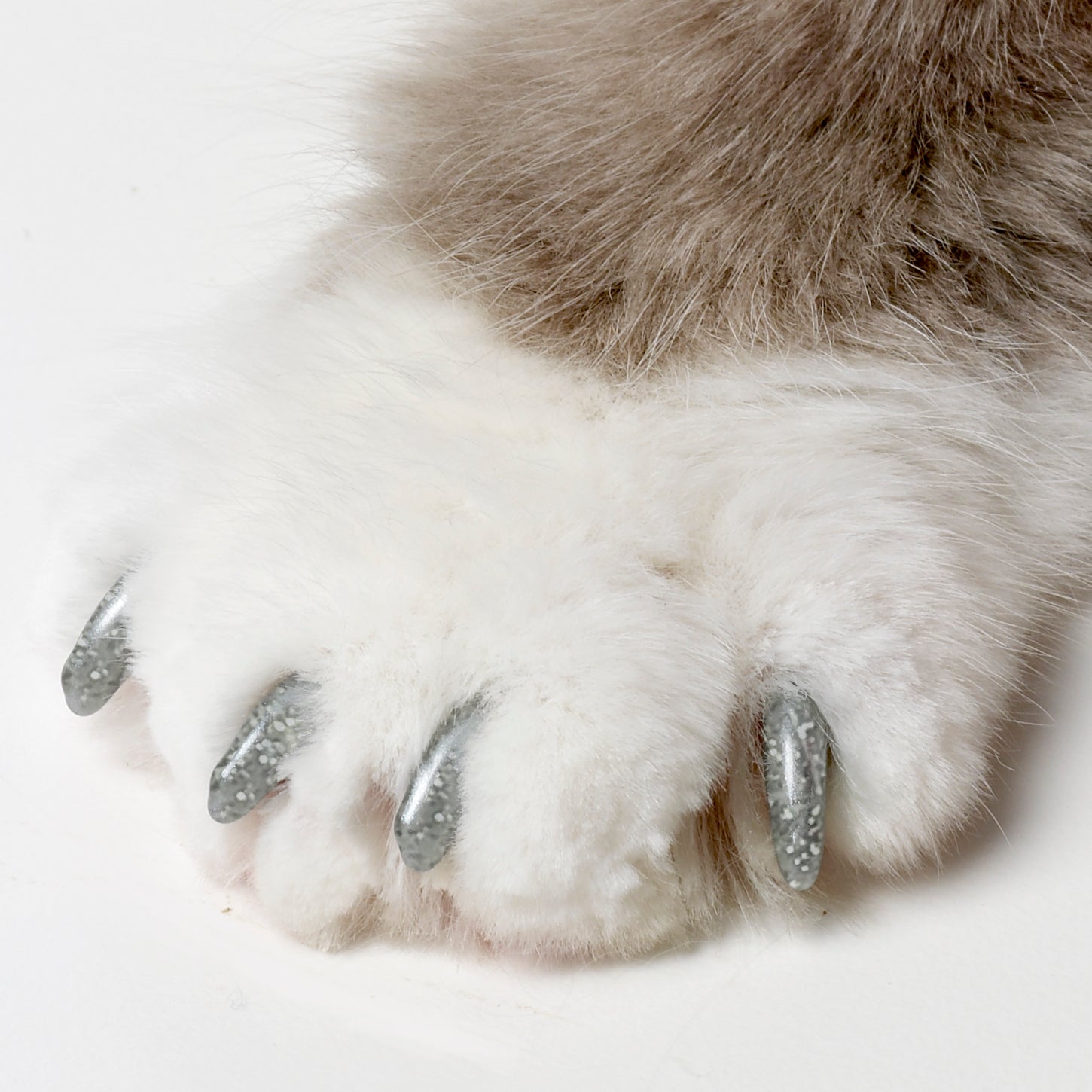 Soft Claws Nail Caps for Cats Medium